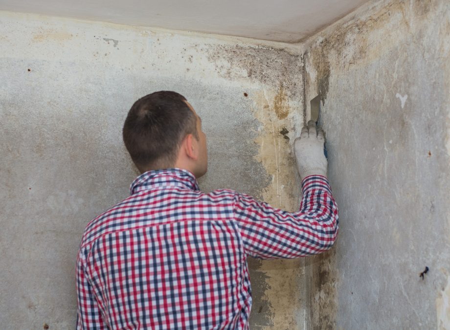 mold_2